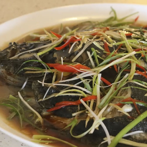 Cá bơn giá sỉ