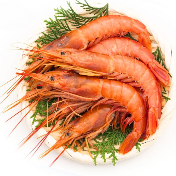 Tôm đỏ Akaebi giá sỉ