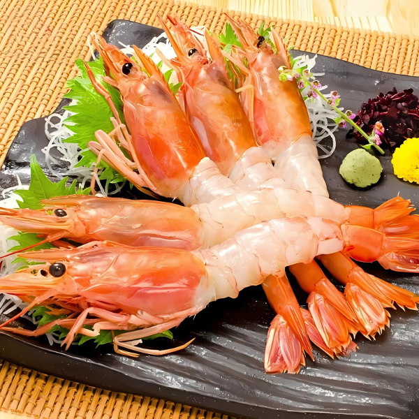 Tôm đỏ Nhật giá sỉ