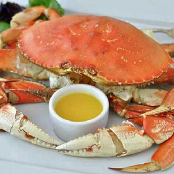 Cua dungeness hgiá sỉ
