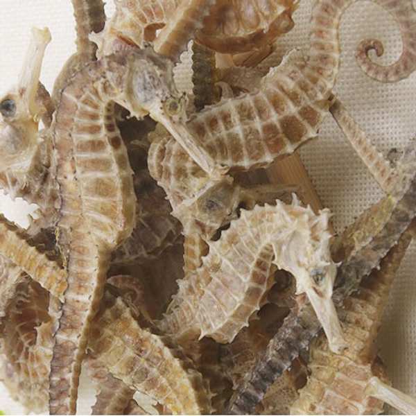 Cá ngựa khô chất lượng