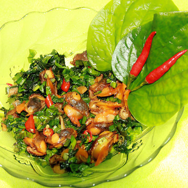 Sò lông chất lượng